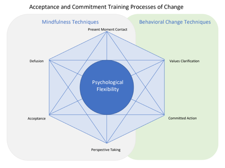 Mindfulness Techniques vs Gehavioral Change Techniques Hexagon Diagram. At the Center is Psychological Flexibility connected by a hexigon with the terms around it counterclockwise starting with Present moment contact then Valuse Clarification then commited action Perspective Taking Accepance Defusion. 