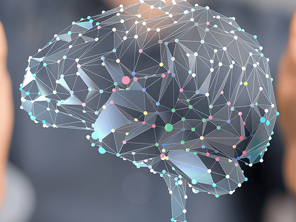 illustrated graphical representation of a brain