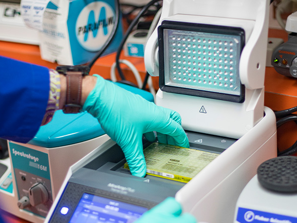 A hand placing a sample in a spectrofuge.