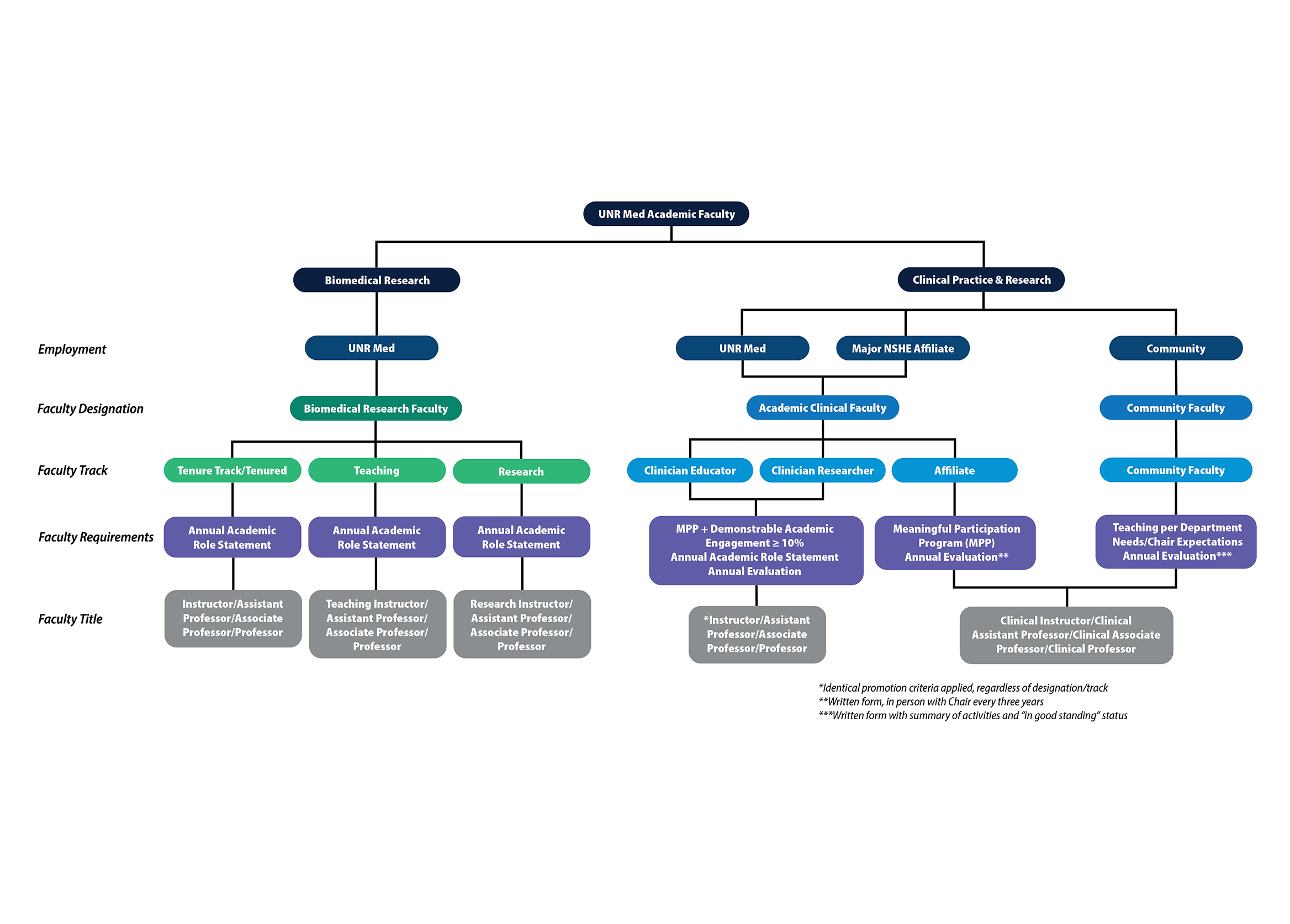 A branching graphic that shows the different academic faculty appointments, designations, requirements and titles.