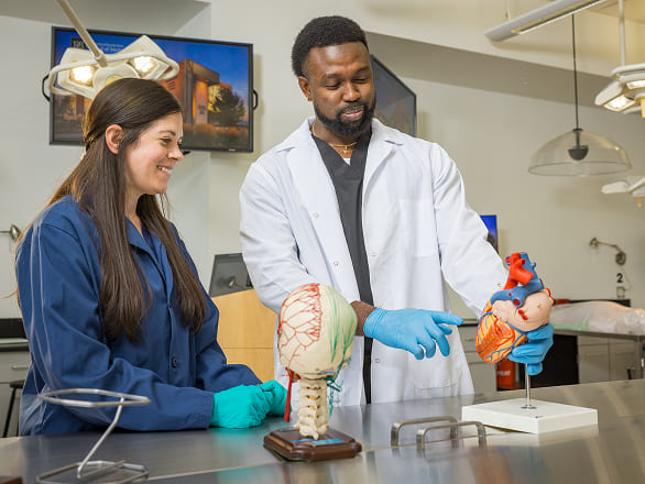 Med students working in an anatomy lab