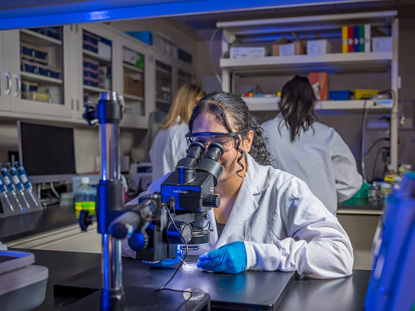 Med students work in a lab with microscopes