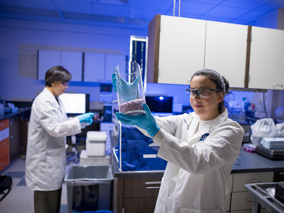 Two med students working a physiology lab