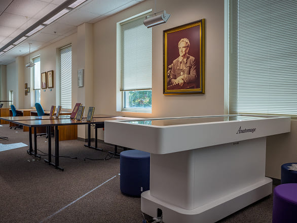 Savitt Library's Anatomage table