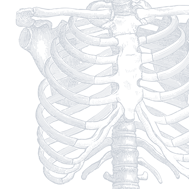 decorative ribs illustration