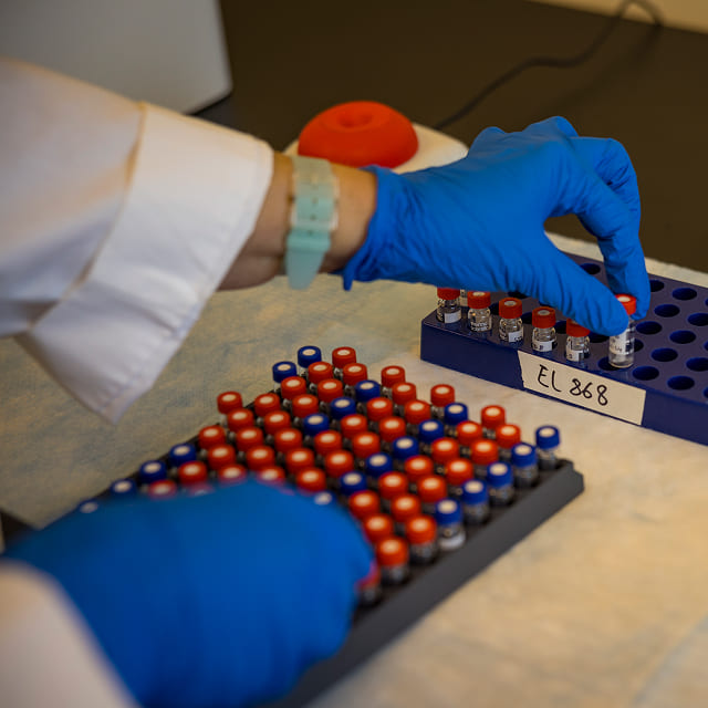 A researcher carefully organizes samples in a lab