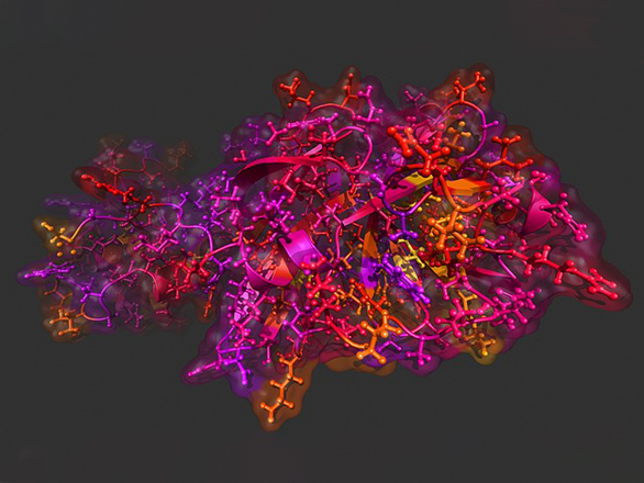 This is a molecular illustration of a 2019 novel Coronavirus comparative model. The illustration was created using the Protein Imager online molecular viewer