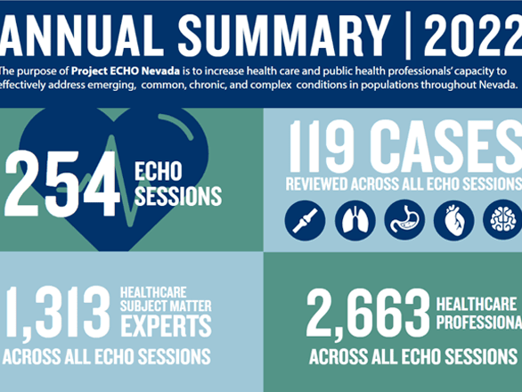 Decorative: Project Echo Annual Report Info Graphic 2022