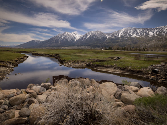 A rural Nevada landscape with flowing water, green fields, grazing cattle, and snow-capped mountains