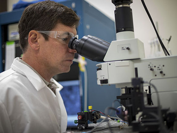 Dr. Rendon at a microscope
