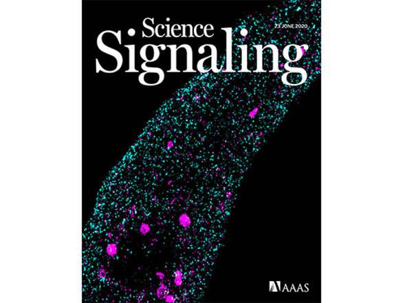 Science Signaling Magazine Cover