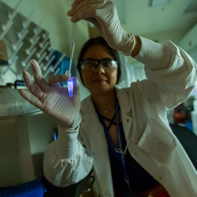 Researcher holding a test tube
