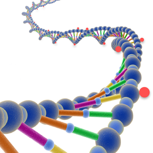 DNA Strand