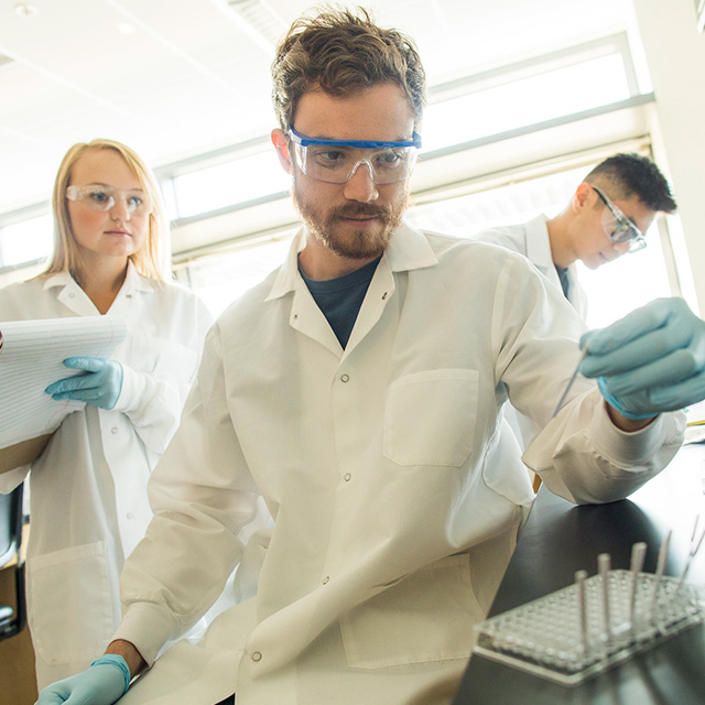 Researchers in a lab