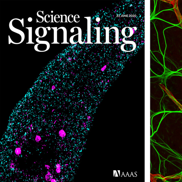 Science Signaling magazine cover