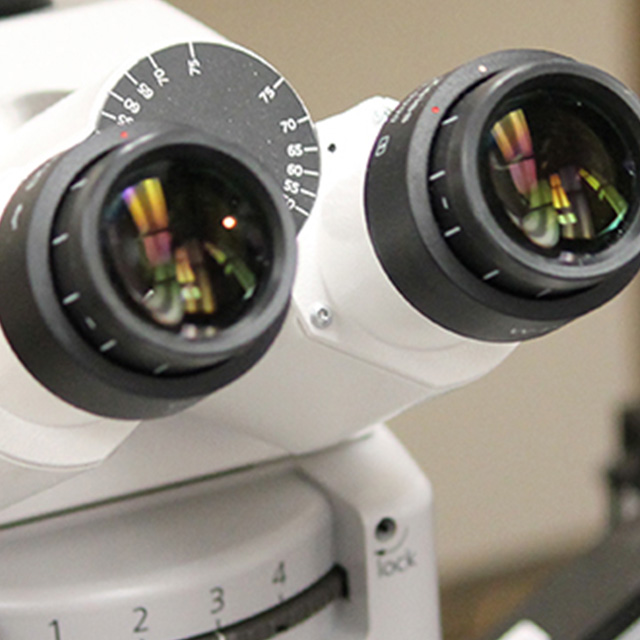 Microscope