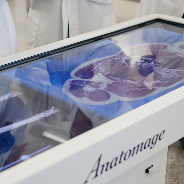 state-of-the-art facilities