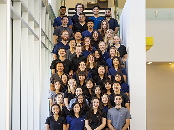 Cohort of medical students in scrubs posing on a staircase.