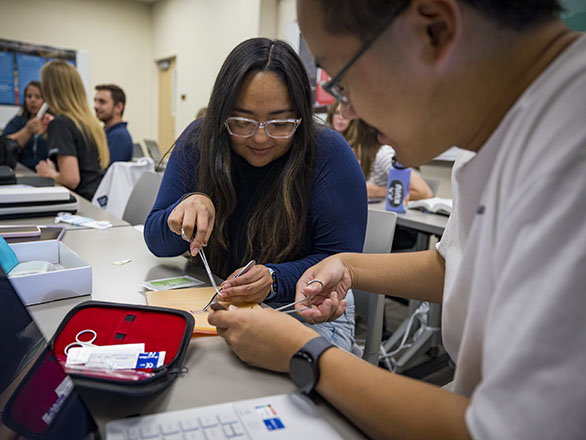 Two Physician Assistant students practicing stitching.