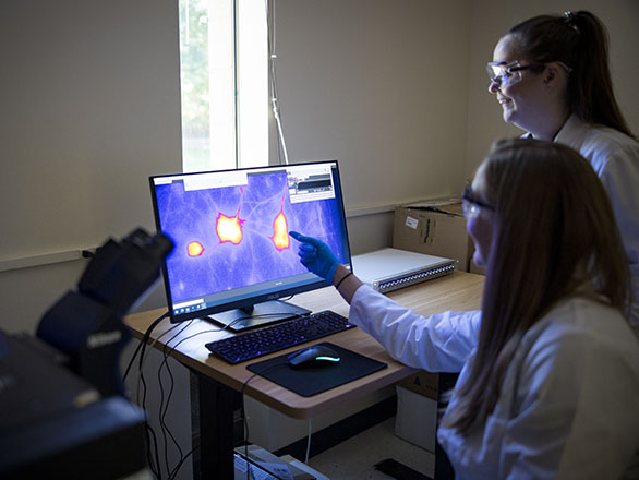Two researchers looking at a computer screen with neuron synapses displayed.