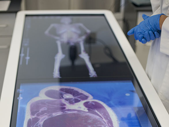 UNR Med anatomy lab