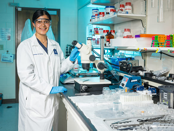 A med student works in a lab