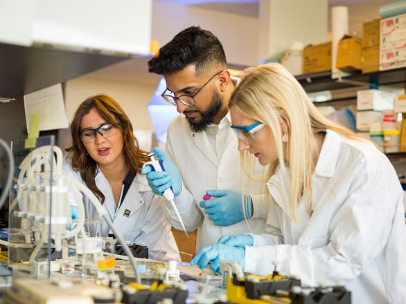 Doctor of Medicine students work in a lab