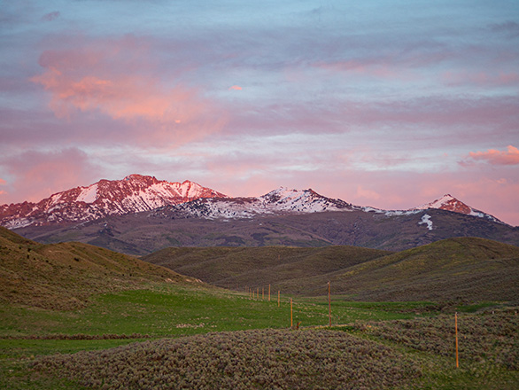 A landscape of Nevada with rolling hills, mountains, and pink sunset.