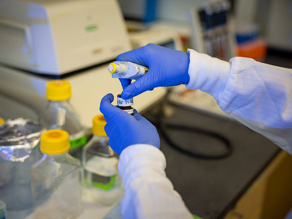 Laboratory professional in safety gloves working on samples