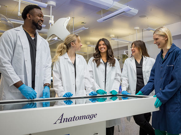 Med students gather around an Anatomage anatomy simulation table