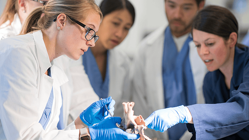 Physician assistant students in medical class room