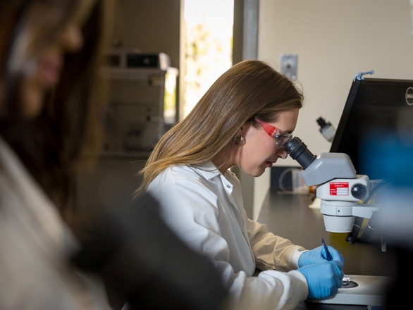 Medical student using a microscope, engaged in scientific analysis in a laboratory environment.