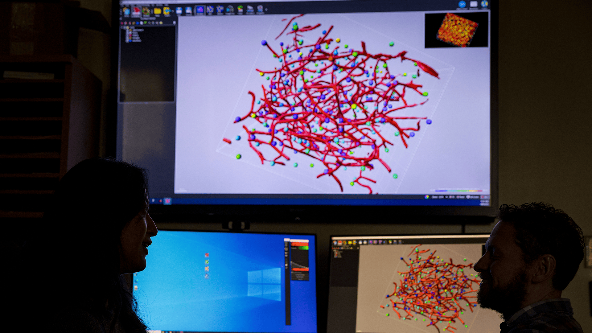 Computer with dual monitors displaying the use of the Imaris software