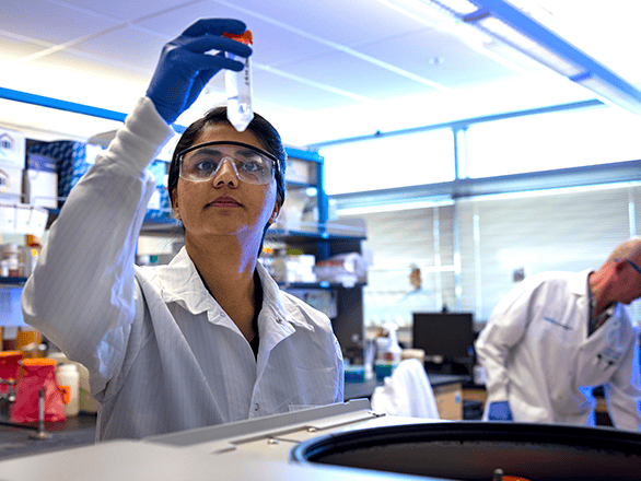 researcher working in the lab