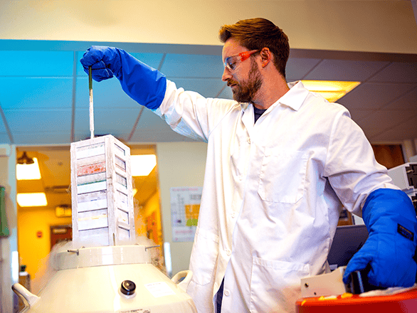 pharmacology researcher working in the lab