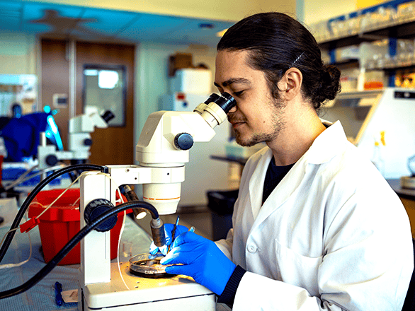 researcher working in the lab