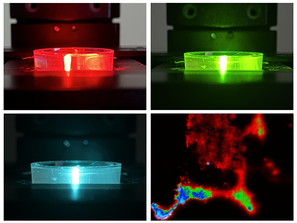 Collage of four glowing microscopes images.